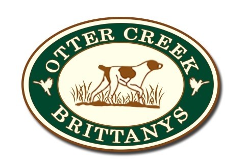 OTTER CREEK BRITTANYS